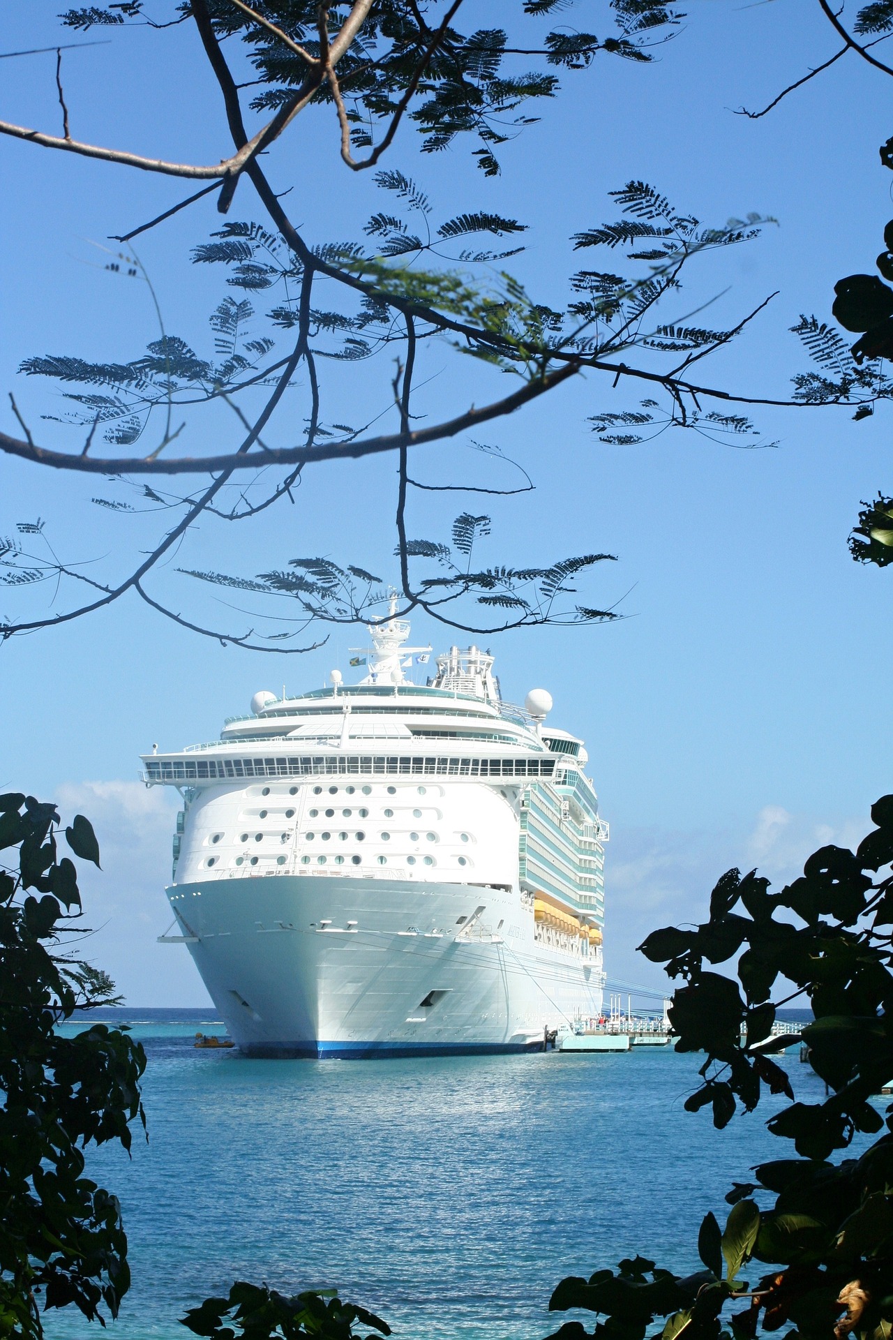 violetta-cruise-141709_1920